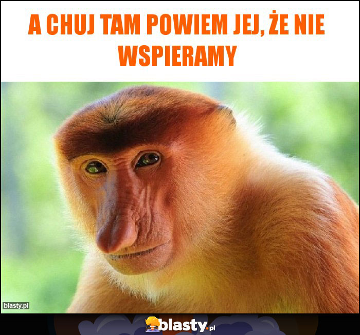 A CHUJ TAM POWIEM JEJ, ŻE NIE WSPIERAMY A CHUJ TAM POWIEM JEJ, ŻE NIE WSPIERAMY