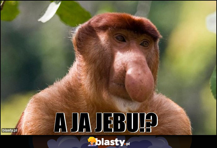 A Ja JEBU!? A Ja JEBU!?