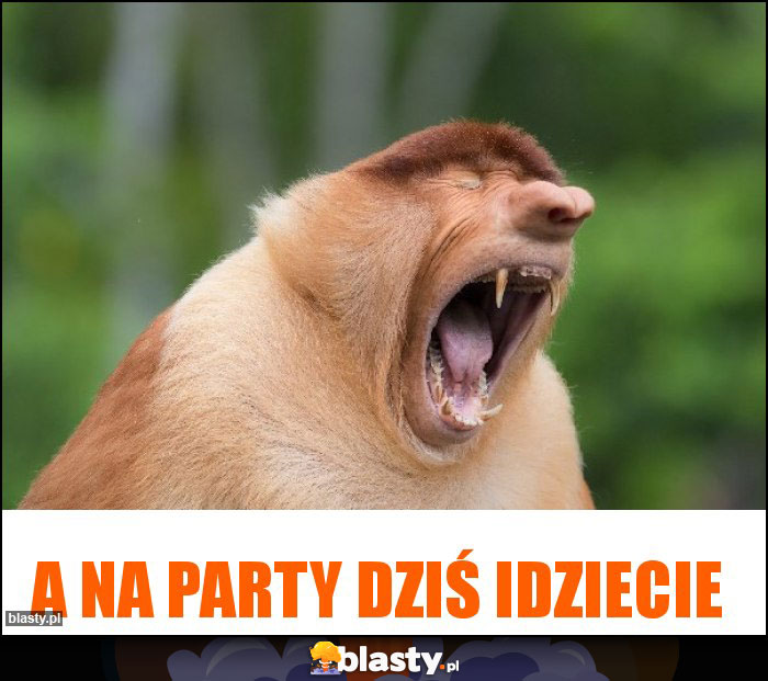 A na party dziś idziecie A na party dziś idziecie