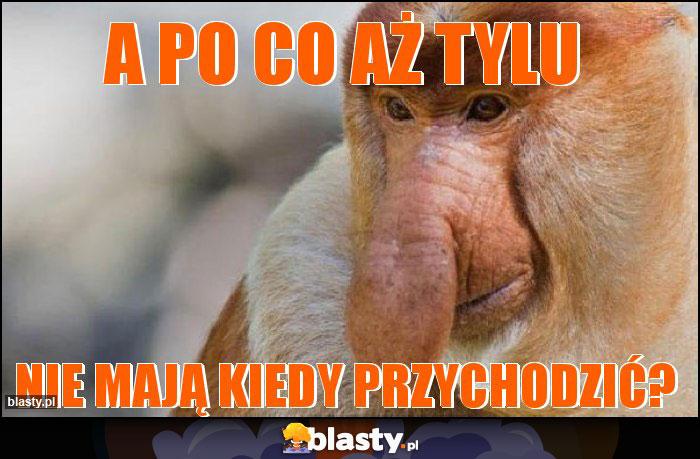 a po co aż tylu a po co aż tylu
