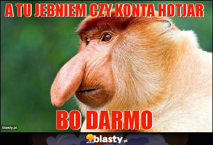 A TU JEBNIEM CZY KONTA HOTJAR A TU JEBNIEM CZY KONTA HOTJAR