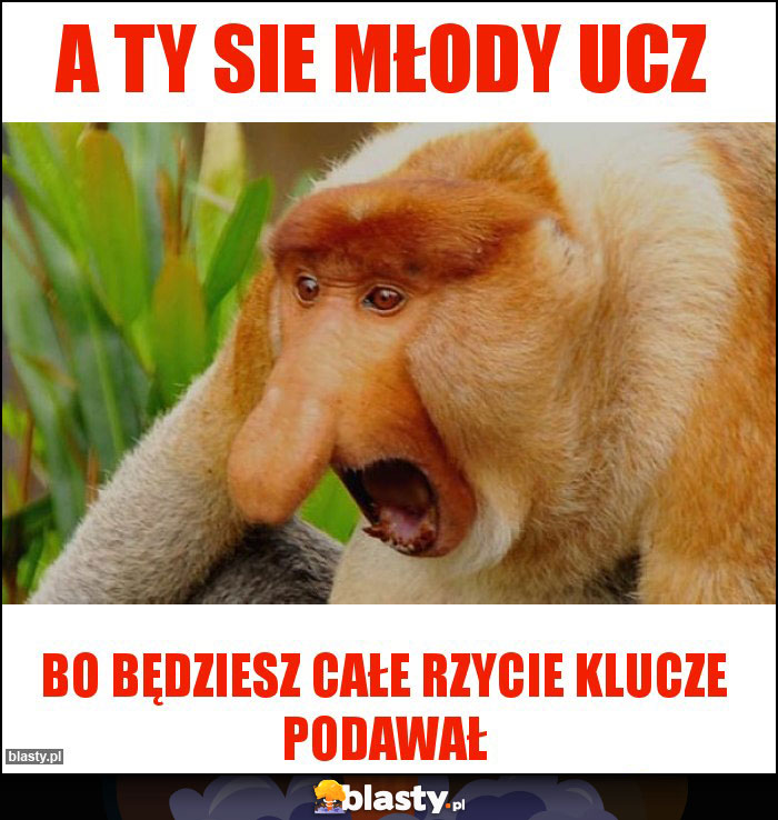 A TY SIE MŁODY UCZ A TY SIE MŁODY UCZ