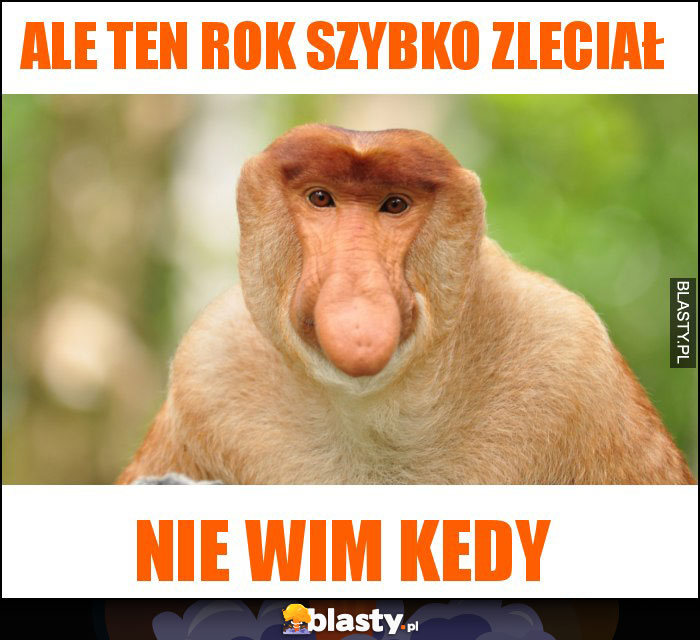 ALE TEN ROK SZYBKO ZLECIAŁ ALE TEN ROK SZYBKO ZLECIAŁ