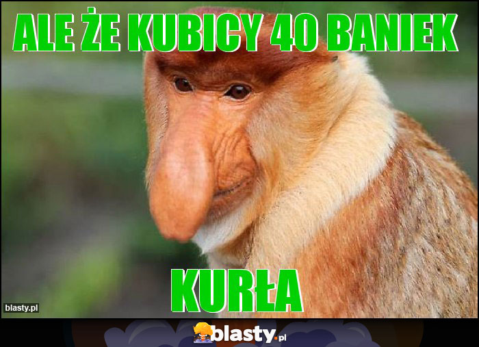 Ale że KUBICY 40 baniek Ale że KUBICY 40 baniek