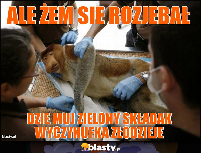 Ale żem sie rozjebał Ale żem sie rozjebał