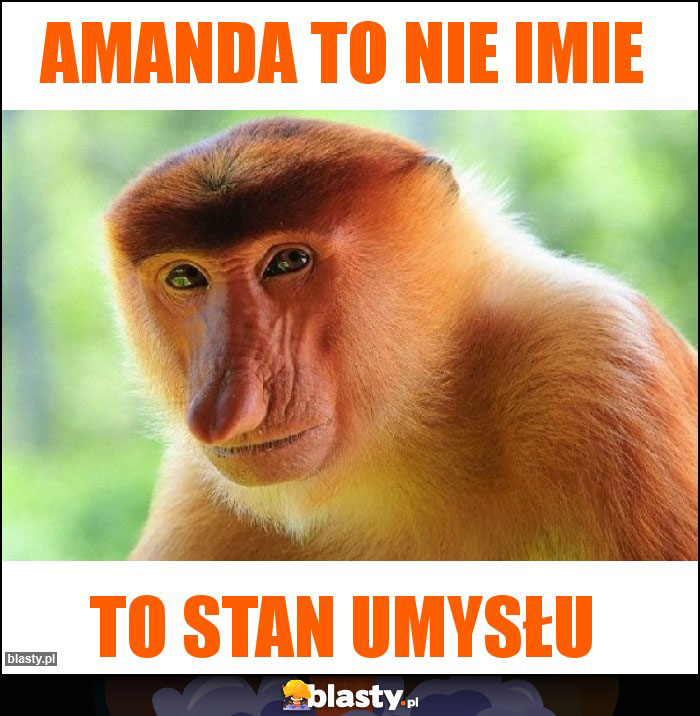 Amanda to nie imie Amanda to nie imie
