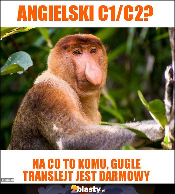 Angielski C1/C2? Angielski C1/C2?