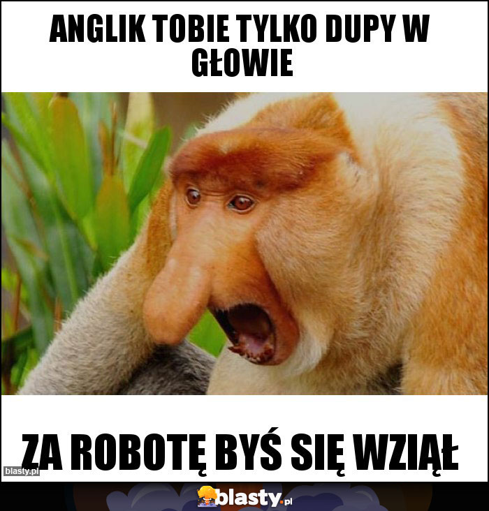 Anglik tobie tylko dupy w głowie Anglik tobie tylko dupy w głowie