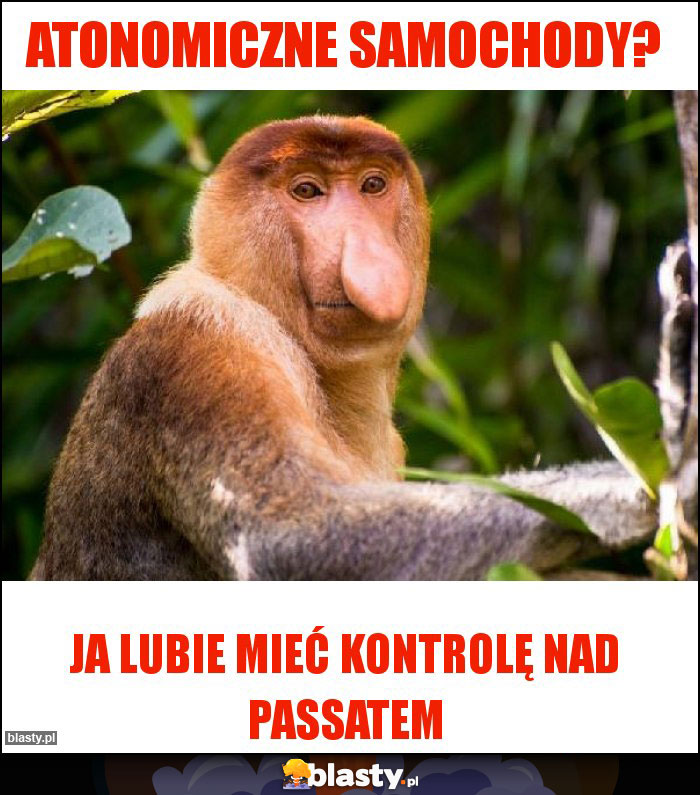 Atonomiczne samochody? Atonomiczne samochody?