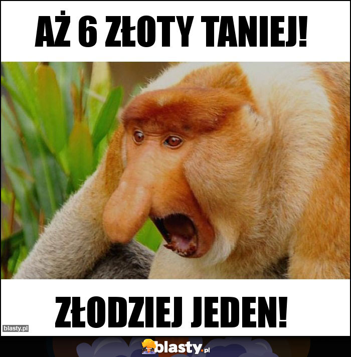 Aż 6 złoty taniej! Aż 6 złoty taniej!