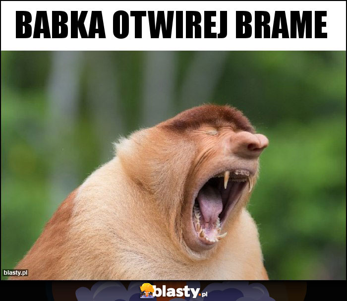 Babka otwirej brame Babka otwirej brame
