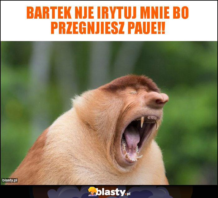 Bartek nje irytuj mnie bo przegnjiesz paue!! Bartek nje irytuj mnie bo przegnjiesz paue!!
