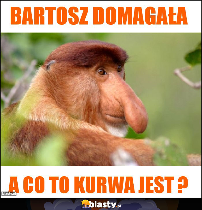 Bartosz Domagała Bartosz Domagała