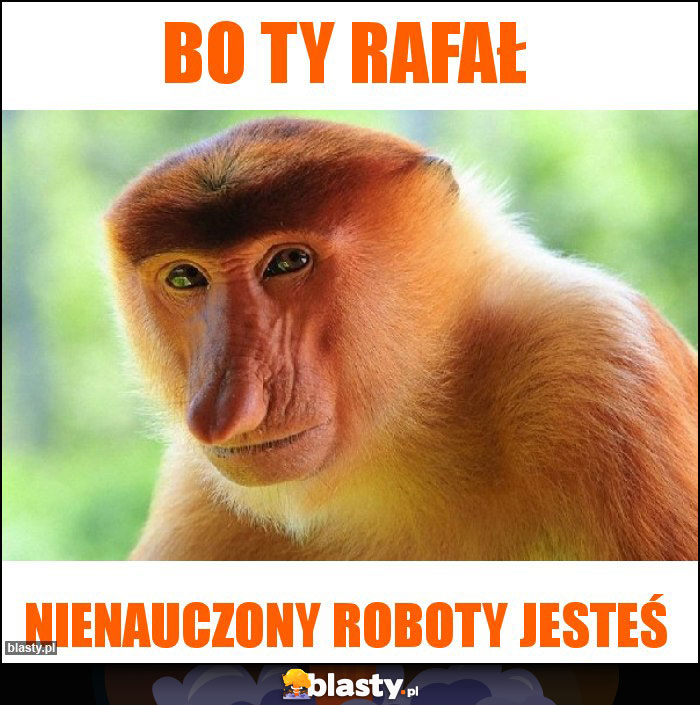 Bo TY Rafał Bo TY Rafał
