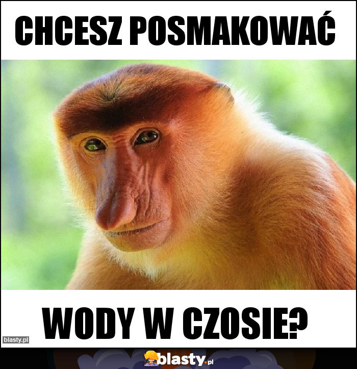 Chcesz posmakować Chcesz posmakować