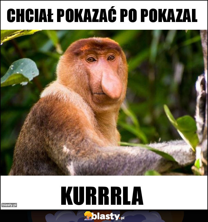Chciał pokazać po pokazal Chciał pokazać po pokazal