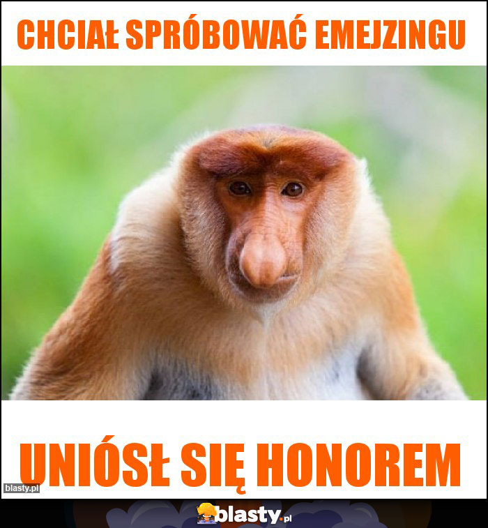 chciał spróbować emejzingu