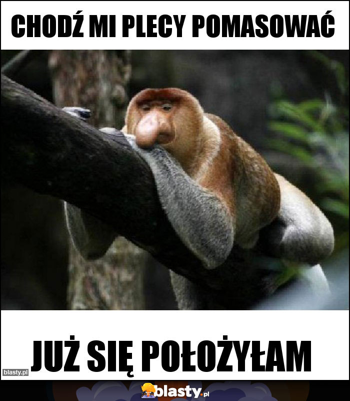 Chodź mi plecy pomasować Chodź mi plecy pomasować