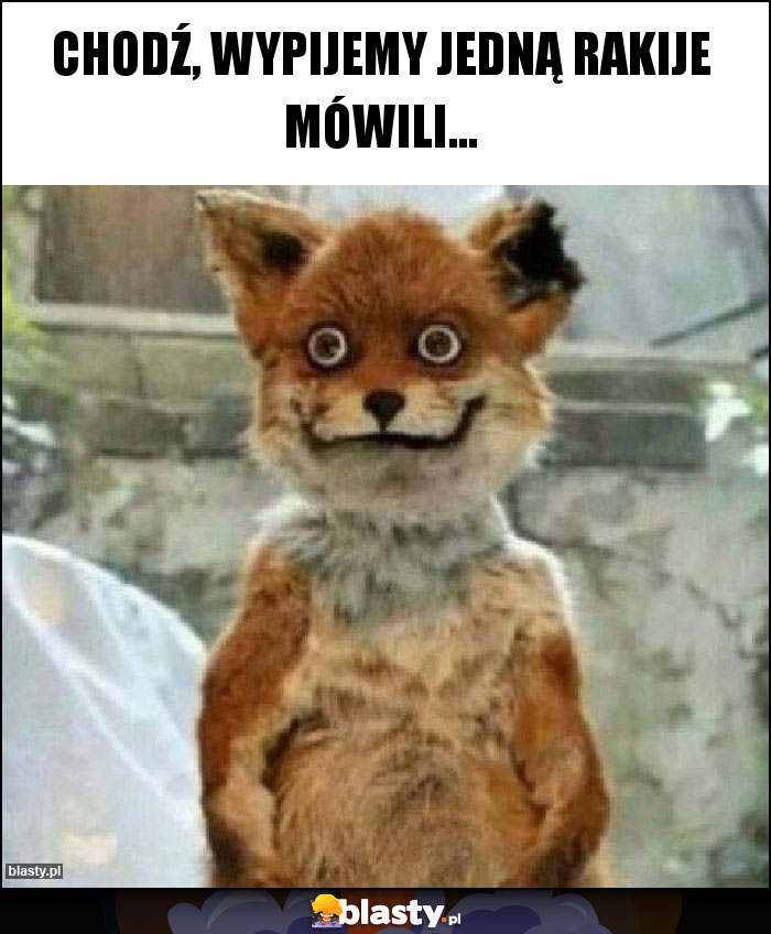 Chodź, wypijemy jedną rakije mówili... Chodź, wypijemy jedną rakije mówili...