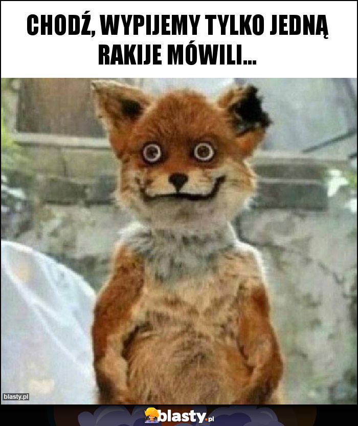Chodź, wypijemy tylko jedną rakije mówili... Chodź, wypijemy tylko jedną rakije mówili...
