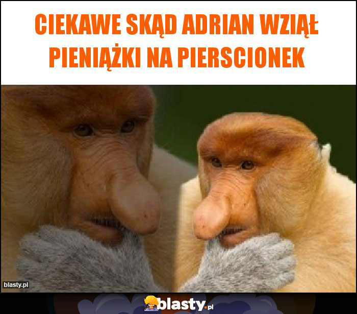 Ciekawe skąd Adrian wziął pieniążki na pierscionek Ciekawe skąd Adrian wziął pieniążki na pierscionek