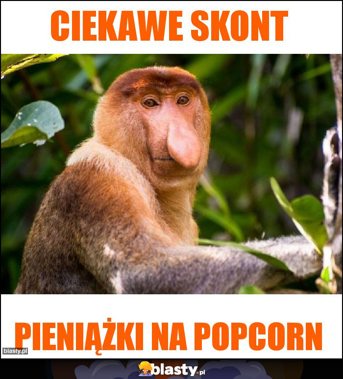 Ciekawe skont Ciekawe skont