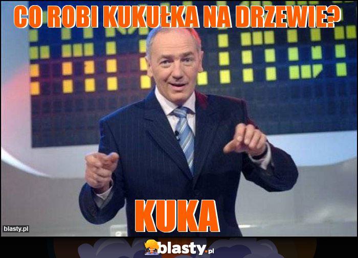 Co robi kukułka na drzewie? Co robi kukułka na drzewie?