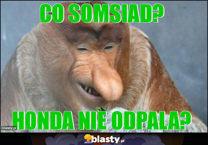 CO SOMSIAD? CO SOMSIAD?