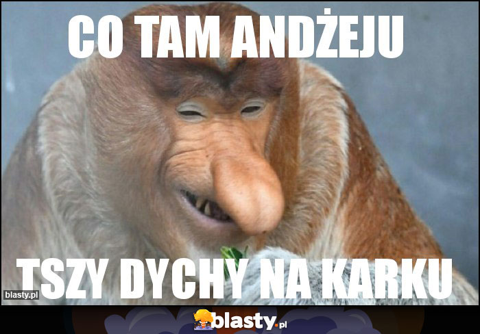 CO TAM aNDŻEJU CO TAM aNDŻEJU