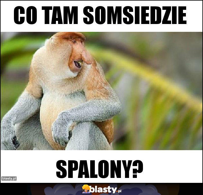 Co tam somsiedzie Co tam somsiedzie