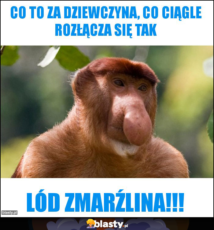 Co to za dziewczyna, co ciągle rozłącza się tak Co to za dziewczyna, co ciągle rozłącza się tak