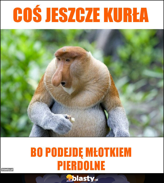Coś jeszcze kurła Coś jeszcze kurła