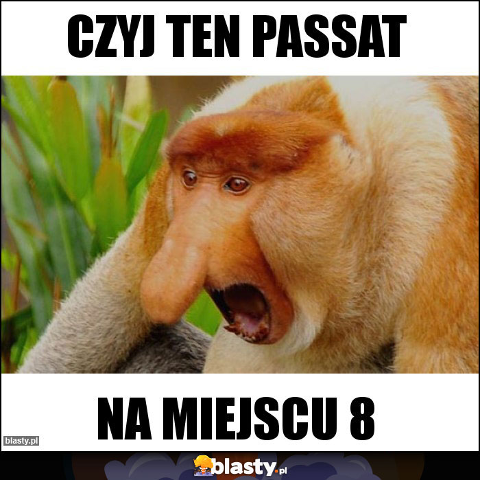 Czyj ten passat Czyj ten passat