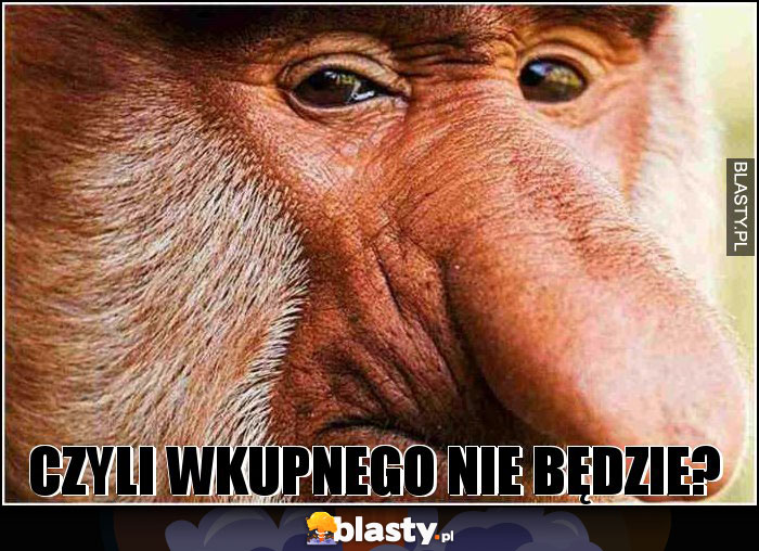 Czyli wkupnego nie będzie? Czyli wkupnego nie będzie?