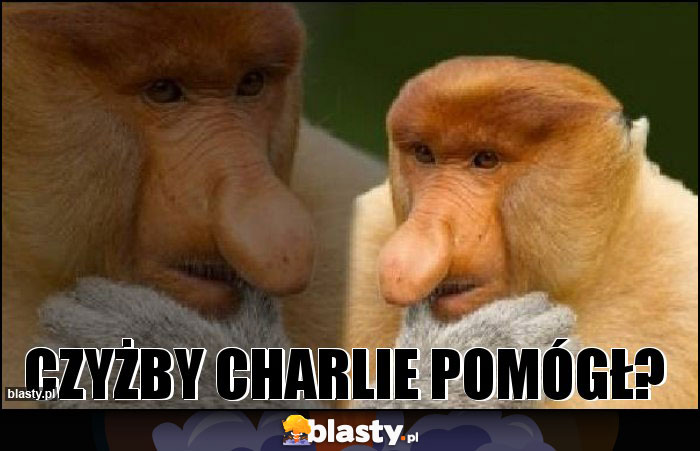 Czyżby Charlie pomógł? Czyżby Charlie pomógł?
