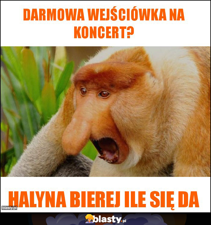 Darmowa wejściówka na koncert?