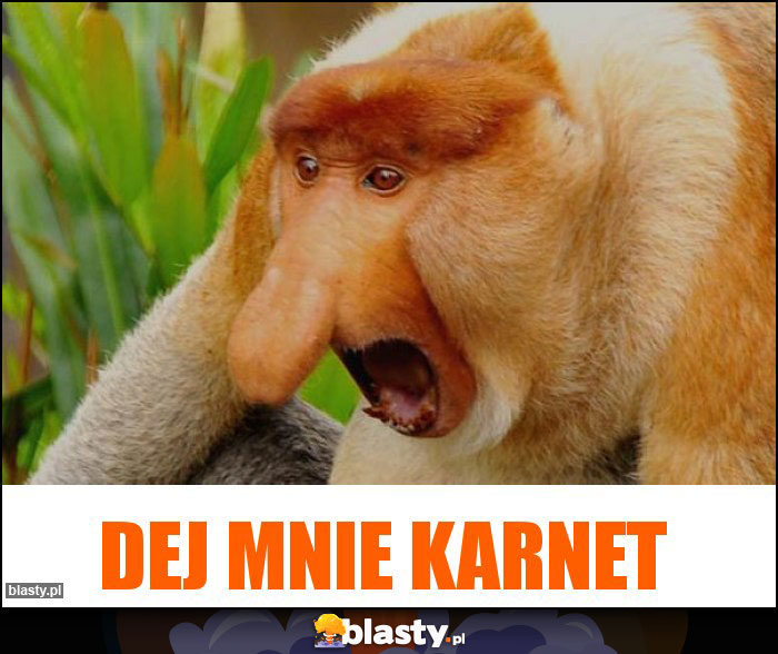 Dej mnie karnet Dej mnie karnet