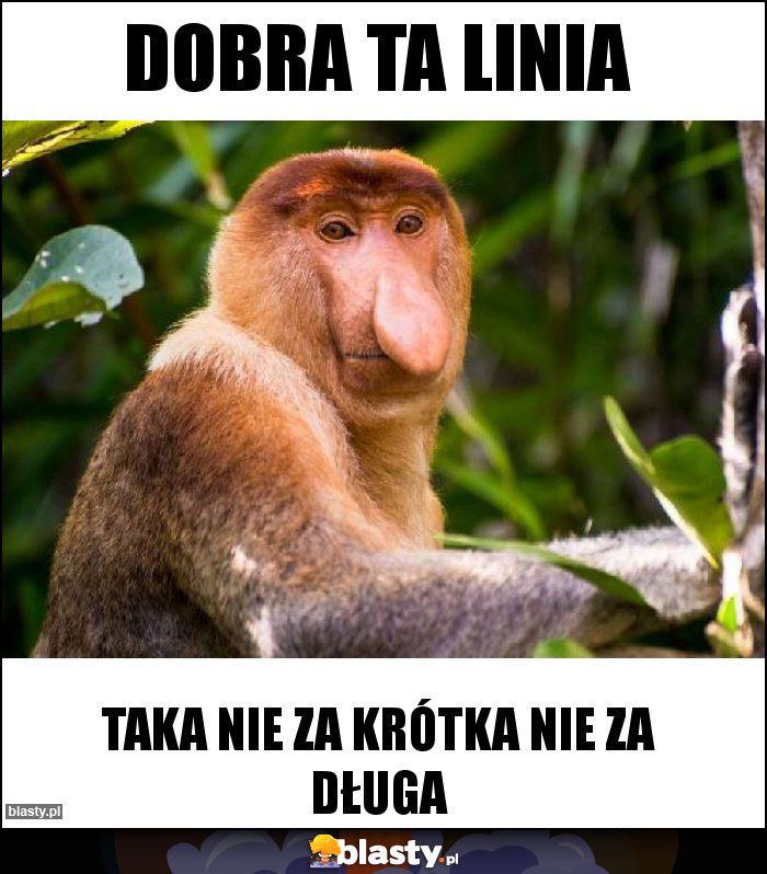 Dobra ta linia Dobra ta linia