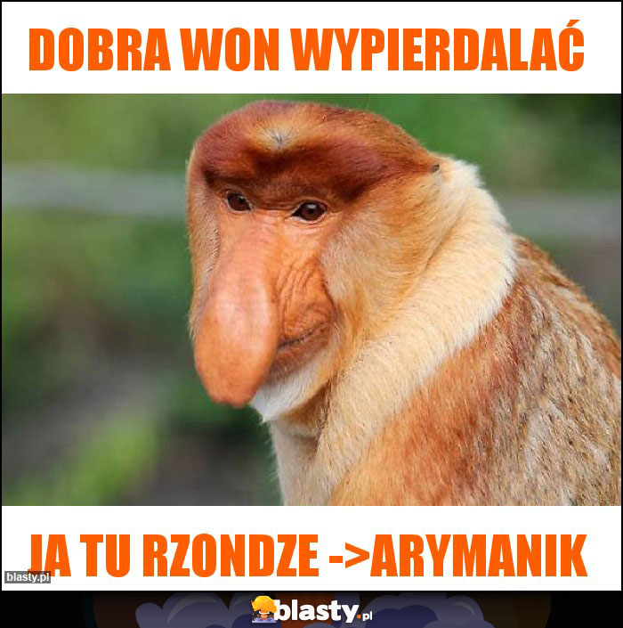 DOBRA WON WYPIERDALAĆ DOBRA WON WYPIERDALAĆ