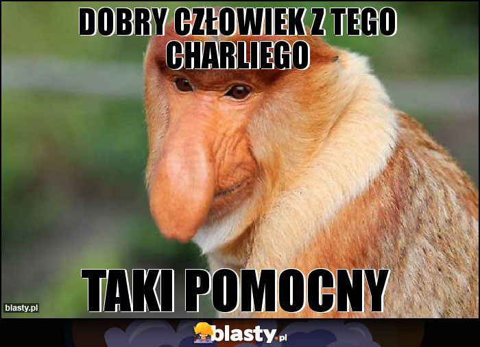 dobry człowiek z tego charliego dobry człowiek z tego charliego