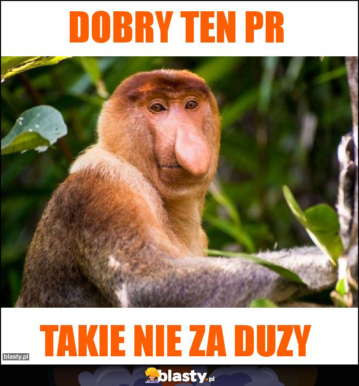 Dobry ten pr