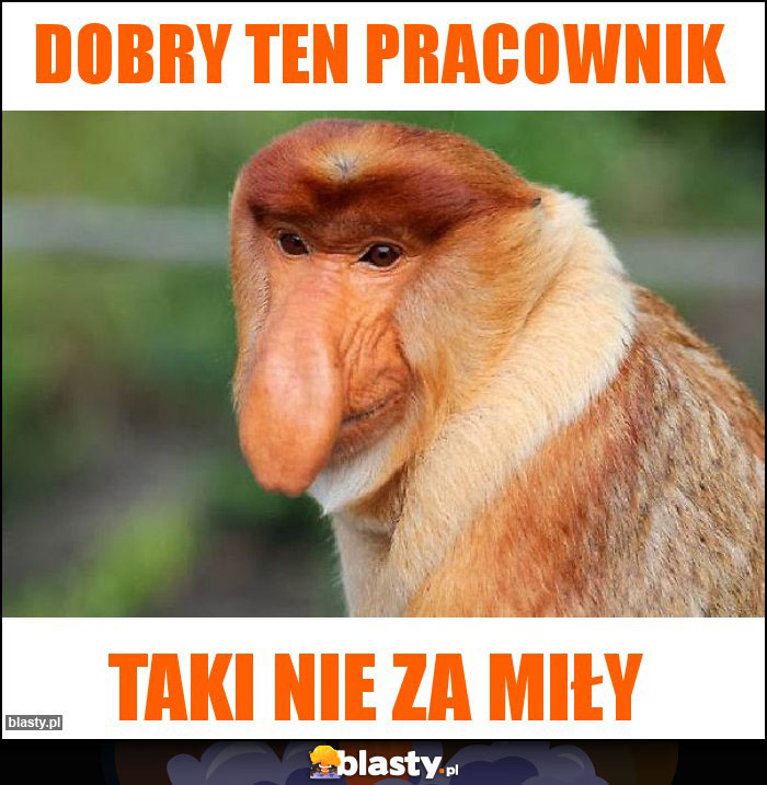 Dobry ten pracownik Dobry ten pracownik