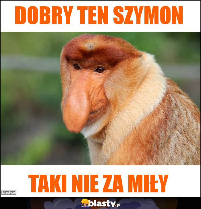 Dobry ten szymon Dobry ten szymon