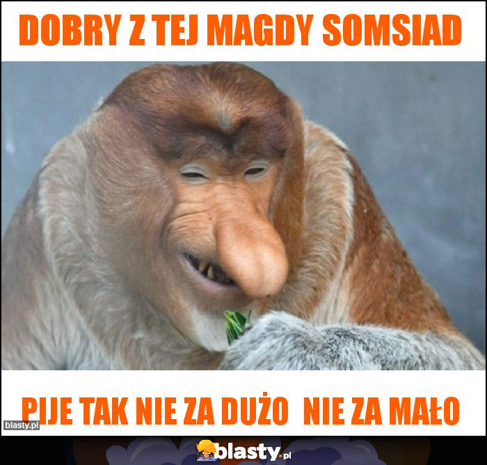 Dobry z tej magdy somsiad