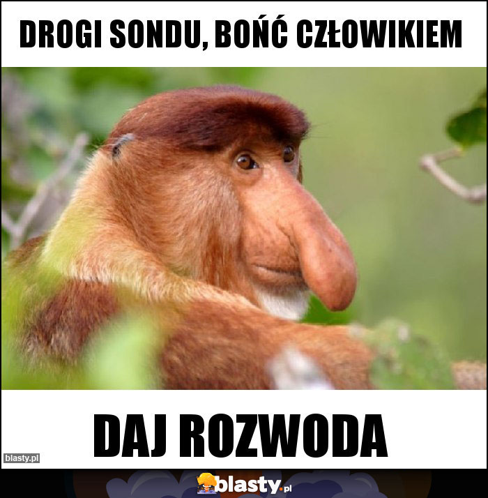 Drogi sondu, bońć człowikiem Drogi sondu, bońć człowikiem