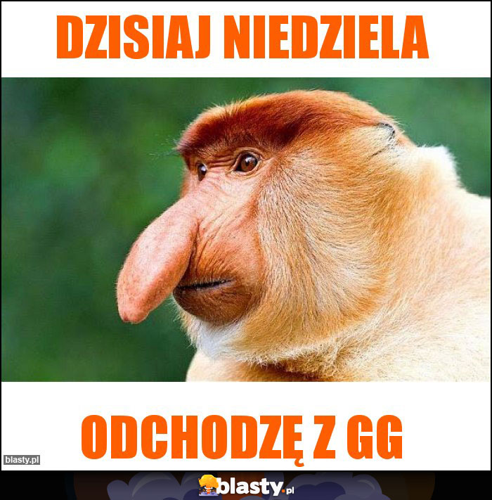 Dzisiaj niedziela Dzisiaj niedziela