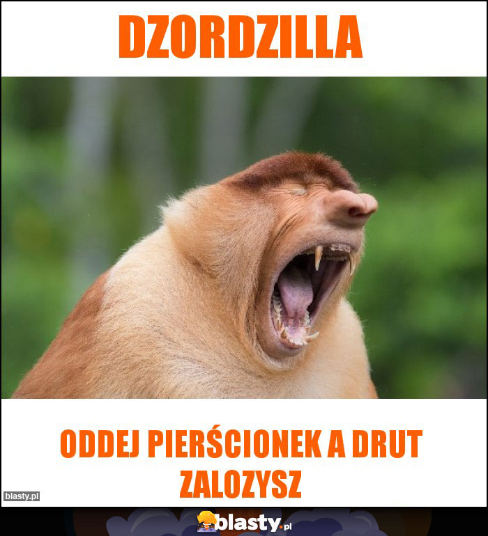 Dzordzilla Dzordzilla