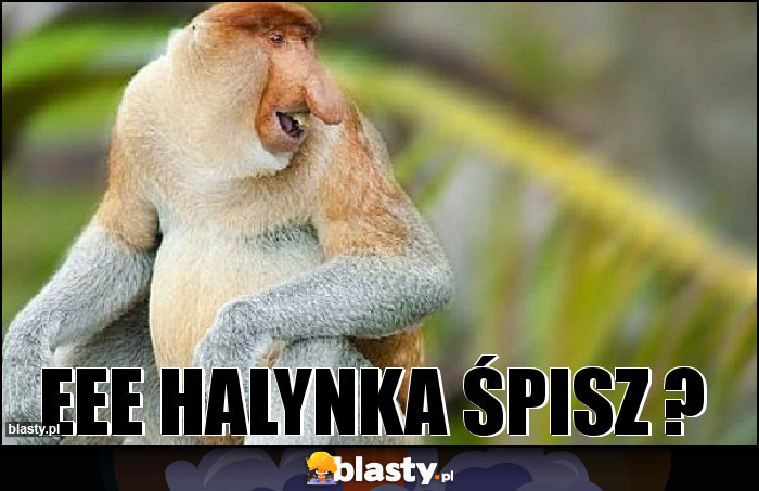 Eee halynka śpisz ? Eee halynka śpisz ?