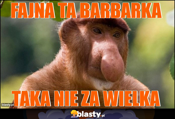 Fajna ta barbarka Fajna ta barbarka