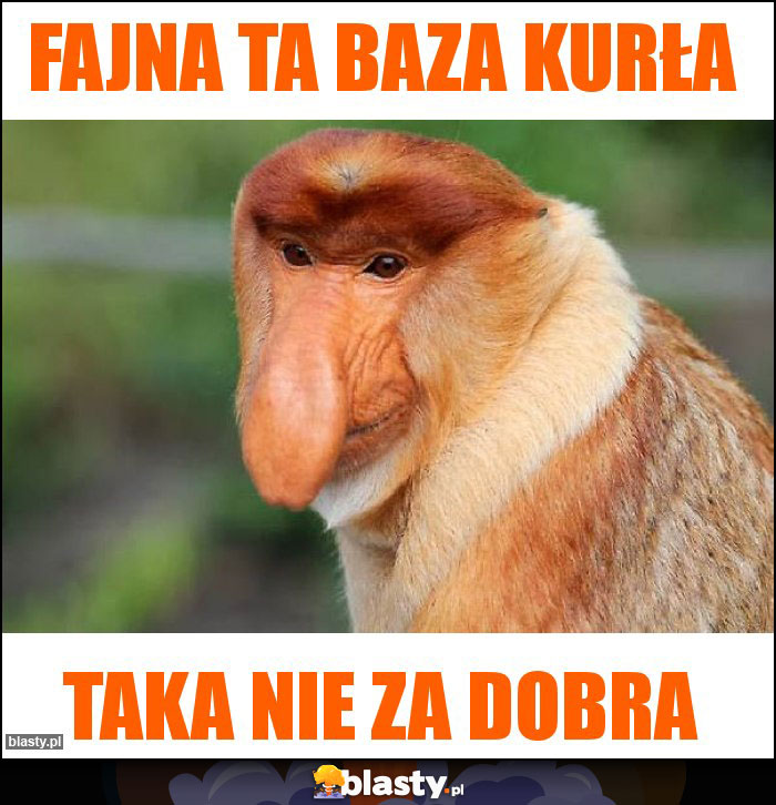 Fajna ta baza kurła Fajna ta baza kurła